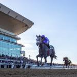 Noel’s Weekend Winners: Spotlight on Belmont’s Empire Showcase Day